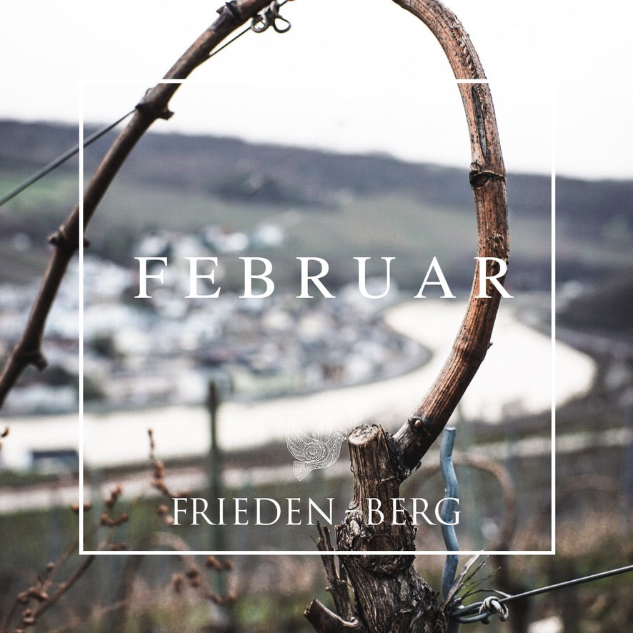 Der Februar im Weingut Frieden-Berg
